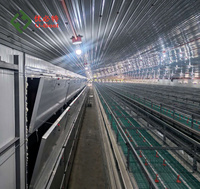 Nouvelles cages d'élevage avicole UBT UBT6 entièrement automatiques en acier pour poulets de chair, type H/A, capacité 1000 oiseaux, plus de 15 ans d'expérience