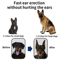 Facebook yeni ürün ayarlanabilir güvenli Stand Up köpek kulak Sticker köpek kulak desteği
