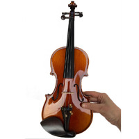Hot Selling Professional Elegant Design Instrument Violin for Sale Wholesale