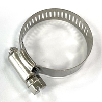 Kit d'assortiment de colliers de serrage à vis sans fin réglables en acier inoxydable 201 304 finition zinc, 18-32 mm, pour conduites de carburant et de plomberie
