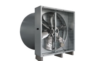 L'Attrezzatura di Ventilazione per Pollai e Allevamenti Avicoli Utilizza Ventole di Scarico Coniche con Pale in Acciaio Inossidabile - Product Image 6