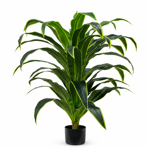 Dracaena Artificial al por Mayor, Árbol de <span class=keywords><strong>Limón</strong></span> Falso en Maceta, Planta de Maíz Artificial, Dracaena Falsa para Decoración de Interiores - Product Image 1