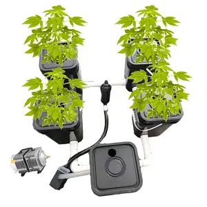 RDWC 4/6/8/12 buckets recirculating Hydroponic system air pump and cycle pump clone bucket hydroponic container