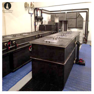 Sistema de acuicultura recirculación RAS moderno Mussel de ostra tanques de transporte de peces vivos, contenedor de almacenamiento de peces vivos - Product Image 4