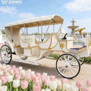 Charrette de tourisme vintage pour extérieur, chariot à chevaux européen, calèche de mariage électrique - Product Image 1