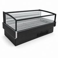 Vitrine Réfrigérée Commerciale à Température Unique pour Viande, avec Contrôle Numérique Automatique de la Température