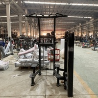 Robuste Commercial Gym Fitness Musculation Pin Chargé Menton Dip Jambe Levée Assistée Pull Up Menton Dip Assist Machine
