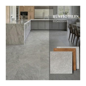Piastrella in Porcellana Grigia Opaca Moderna, 600x600 Effetto Granito per Cucina e Soggiorno Minimalisti - Product Image 1