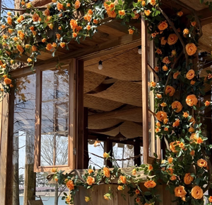 Parete di Fiori Artificiali per Decorazione di Negozi di <span class=keywords><strong>Abbigliamento</strong></span> di Tendenza, Allestimento Ingresso - Product Image 4