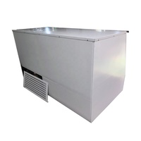 Congélateur vertical extérieur sur mesure en acier inoxydable, sans givre, 2 portes inclinées, refroidissement direct, capacité 120 sacs pour blocs de glace
