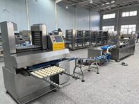 Bun cuit à la vapeur automatique d'approvisionnement d'usine faisant la chaîne de production farcie de chignon Baozi de machine