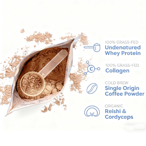 Qinshantang Gluten miễn phí không có thêm đường hữu cơ Reishi Đông Trùng Hạ Thảo cỏ ăn Whey Protein bơ bột cà phê với Collagen - Product Image 3