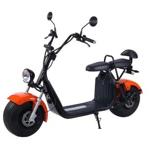 EEC/Coc Approved Hot Sell in Europe Famous Brand Cool Balancing Electric Motorcycle Electric Scooter