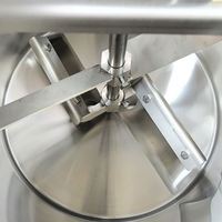DAWNTECH Mixeur Électrique Automatique en Acier Inoxydable Argenté pour Aliments, Confitures, Salades, Sirops, Sauces Chaudes, Assaisonnements, Sauces Chili et Tomates