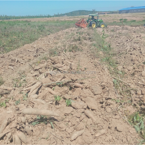 Mesin Panen Singkong 2 Baris, Mesin Pertanian, Penggerak Motor, Penggerak Gigi, Produktivitas Tinggi, untuk Kentang - Product Image 6