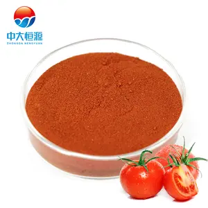 High Quality Various Models Dehydrated Tomato Powder Tomato Concentrate Powder For Baked Food