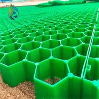 Grille de pavage en plastique HDPE pour gazon, pavés perméables pour drainage et utilisation en jardin, stabilisateur de gravier
