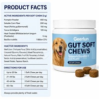 Friandises à mâcher personnalisées ODM pour la santé intestinale des chiens, à base de fibres de citrouille et de postbiotiques, supplément pour la flore digestive et le contrôle des odeurs