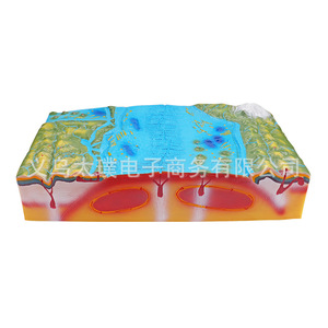 Modèles de tectonique des plaques et de morphologie géographique ; vente en gros transfrontalière d'aides pédagogiques de démonstration pour les niveaux junior et senior - Product Image 4