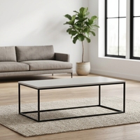 Table basse moderne et durable avec plateau en MFC et structure en métal, idéale pour le salon et le bureau à domicile