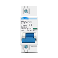 Disjoncteur TOMZN 1P DC MCB 250V 80A 100A 125A pour système photovoltaïque, courbe C, interrupteur principal de batterie