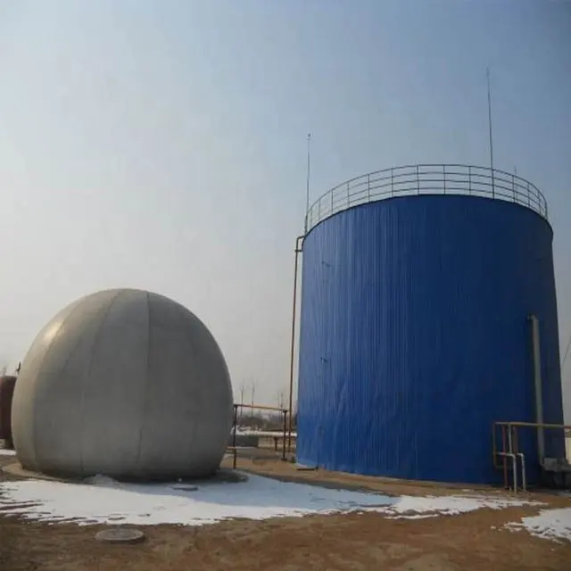 Биогазовая установка влажного типа