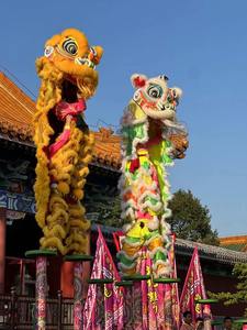 China Tamaño normal China Rendimiento Traje de danza del león Cultura China Bailando León Traje de danza del león <span class=keywords><strong>Dos</strong></span> <span class=keywords><strong>personas</strong></span> - Product Image 5