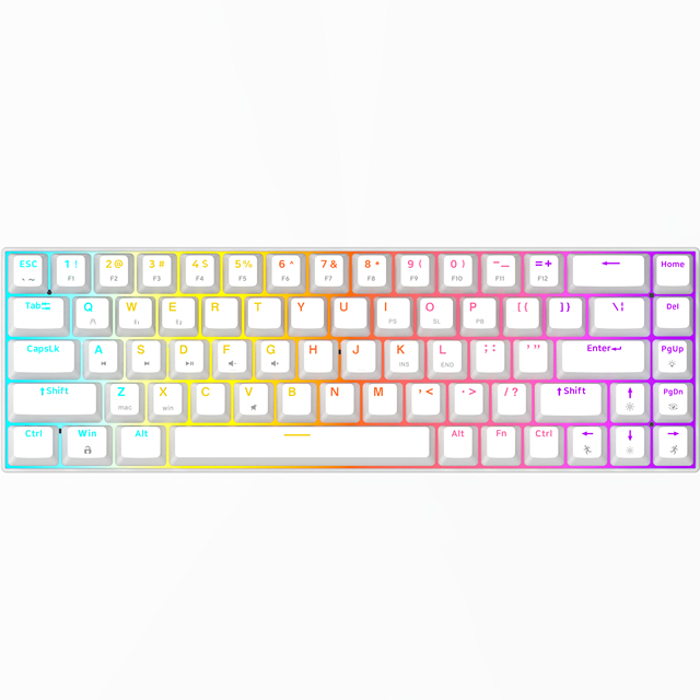 Custom 2.4G Wireless RGB 68 Keys Mechanical Gaming Keyboard Personalized White Design for PC