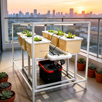 Système hydroponique commercial à 6 pots Bato Bucket avec lampes de culture pour plantes, irrigation goutte à goutte, seau hollandais pour tomates, concombres, poivrons