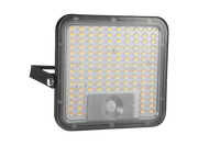 Projecteur solaire LED professionnel breveté 60W 9600lm Série Cube avec une grande surface d'éclairage
