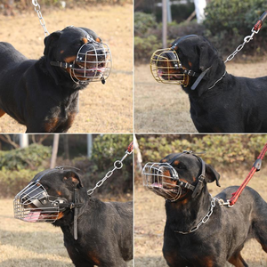 하이 퀄리티 야외 스테인레스 스틸 개 입 마스크 안티 바이트 안전 금속 마스크 개를위한 <span class=keywords><strong>muzzles</strong></span> - Product Image 2