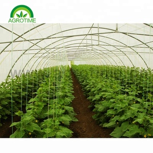 Séchage commercial des aliments <span class=keywords><strong>pour</strong></span> l'agriculture Tunnel unique Petite <span class=keywords><strong>serre</strong></span> de <span class=keywords><strong>chauffage</strong></span> <span class=keywords><strong>solaire</strong></span> Séchoir <span class=keywords><strong>solaire</strong></span> <span class=keywords><strong>Serre</strong></span> en polycarbonate - Product Image 5