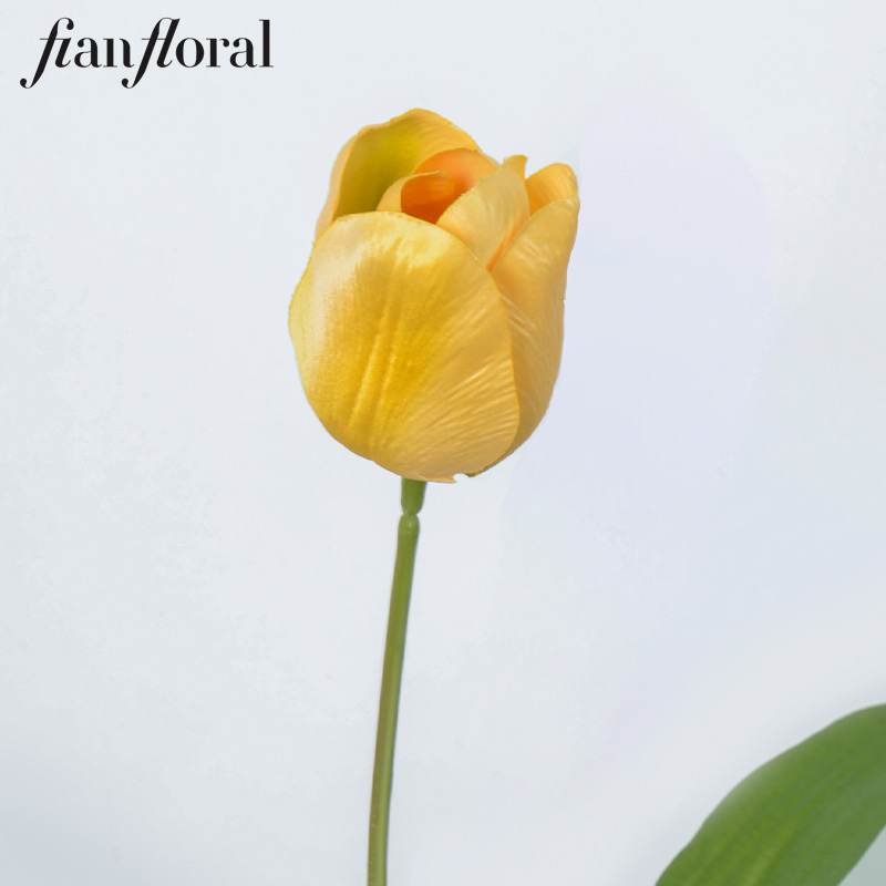 Giallo SY1234