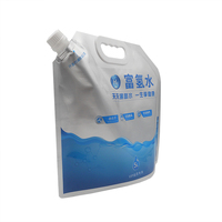 Sac à eau hydrogène 5L personnalisé pochette à bec en aluminium étanche sac de stockage d'eau potable conteneur avec poignée