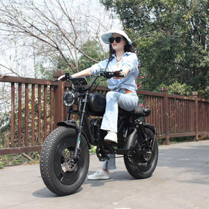Vélo électrique haute performance 1500w conçu pour les déplacements tout-terrain et l'utilisation comme vélo tout-terrain SK-2 Vélo électrique tout-terrain pour les déplacements en extérieur - Product Image 6