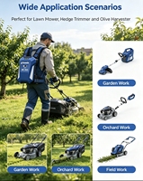 Batería de Litio de Estado Sólido de 48V 20Ah para Mochila, 960W, Portátil, para Cosechadora de Aceitunas Eléctrica y Herramientas Agrícolas