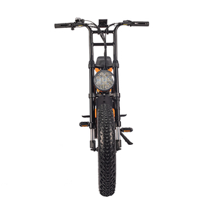 Vélo Électrique Tout-Terrain 20 Pouces à Pneus Larges 1000W de Haute Qualité pour Plage, Neige et Montagne ATV08-2 – Super Vélo Électrique à Pneus Larges - Product Image 2