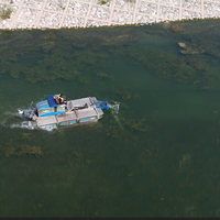 Récolteuse amphibie automatique multifonctionnelle avec moteur et coupeur sous-marin à économie d'énergie pour le nettoyage des réservoirs et des lacs.