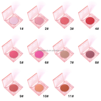 Palette de Fards à Joues Imperméables Personnalisables avec Logo – Fournisseur de Maquillage Compact Naturel Teinte Nude Fini Mat Rose pour le Visage