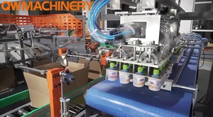 Robot entièrement automatique à 2 axes pour l'emballage en carton des produits alimentaires et des boissons avec matériaux en bois - Product Image 4
