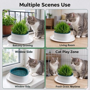 Kind Indoor Cat Grass Grower Bowl Round Pet Herb Planter Enamel Feeding Dish for Home Use - Product Image 5
