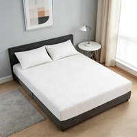 Draps-housses en coton pur (85%) et argent pur (15%) pour un sommeil réparateur – Doux, respirants, pour hôtels et maisons – Collection Earth Connection