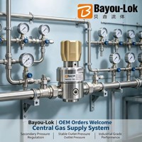 Vanne de réduction de pression en acier inoxydable 316L, régulateur de pression de gaz, filetage femelle FNPT 1/2 pouce, usage industriel chimique