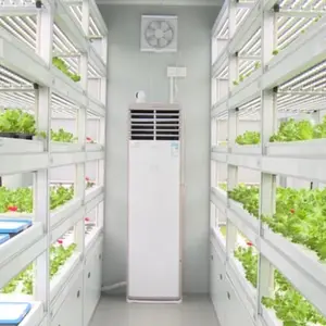 Container Farm Container greenhouse Vertikale Landwirtschaft Hydro po nisches Anbaus system Smart Farm