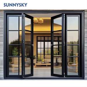 Sunnysky pintu kaca Tempered, Pintu Masuk depan sederhana Modern, pintu Perancis bingkai baja yang sangat sempit untuk rumah eksterior - Product Image 1