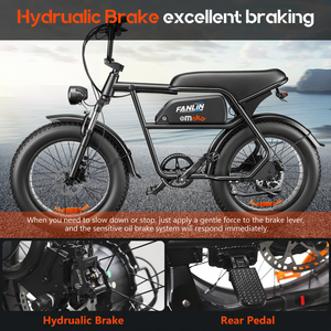 Bicicleta Eléctrica C99 de Doble Motor y 48V, hasta 25 km/h, para Desplazamientos de Corta Distancia, Disponible para Dropshipping - Product Image 5