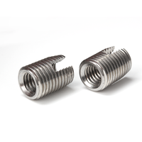 Customized 303 304 Stainless Steel Passivated Metric Inner Thread Slotted Self Tapping Threaded Insert