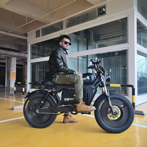 Bici Elettrica <span class=keywords><strong>Gravel</strong></span> ad Alta Velocità con Pneumatici Fat da 20 Pollici, 48V 13Ah 250W, 7 Velocità, per Adulti con Freno a Disco - Disponibile in Magazzino USA/UE - Product Image 1