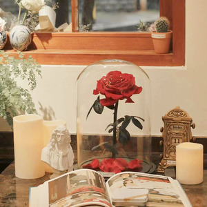 INS en çok satan büyük tek korunmuş güller akrilik kutu kubbe ile sevgililer günü mezuniyet için evlilik için kafes içinde kök - Product Image 2