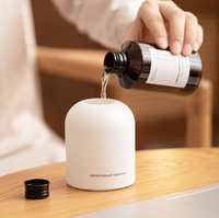 Diffuseur d'huiles essentielles d'aromathérapie en rotin sans feu de luxe de 150ml pour la maison et le bureau Diffusion de roseau parfum idée cadeau de luxe